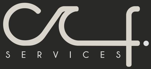 CA Services